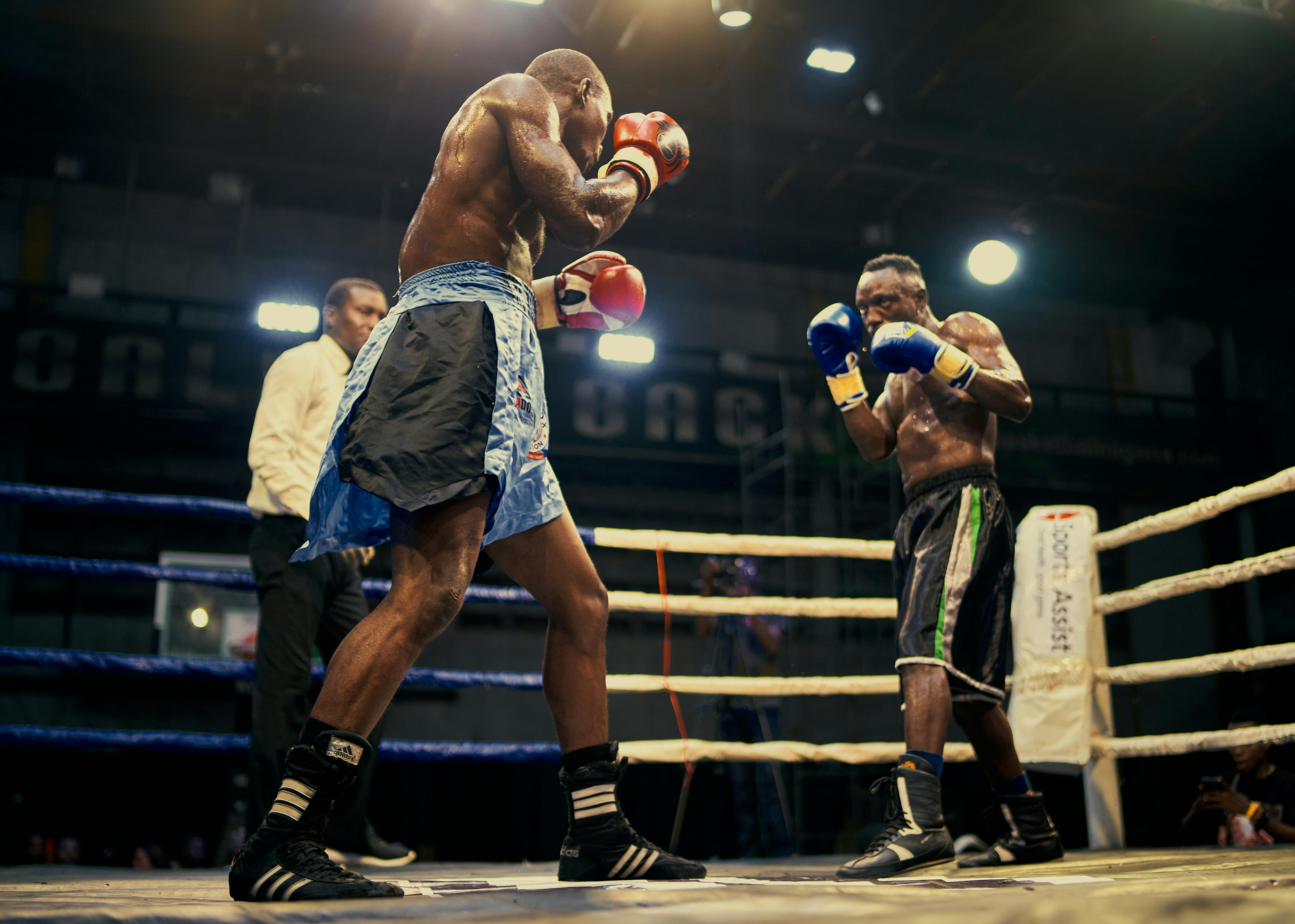 Boxer performing