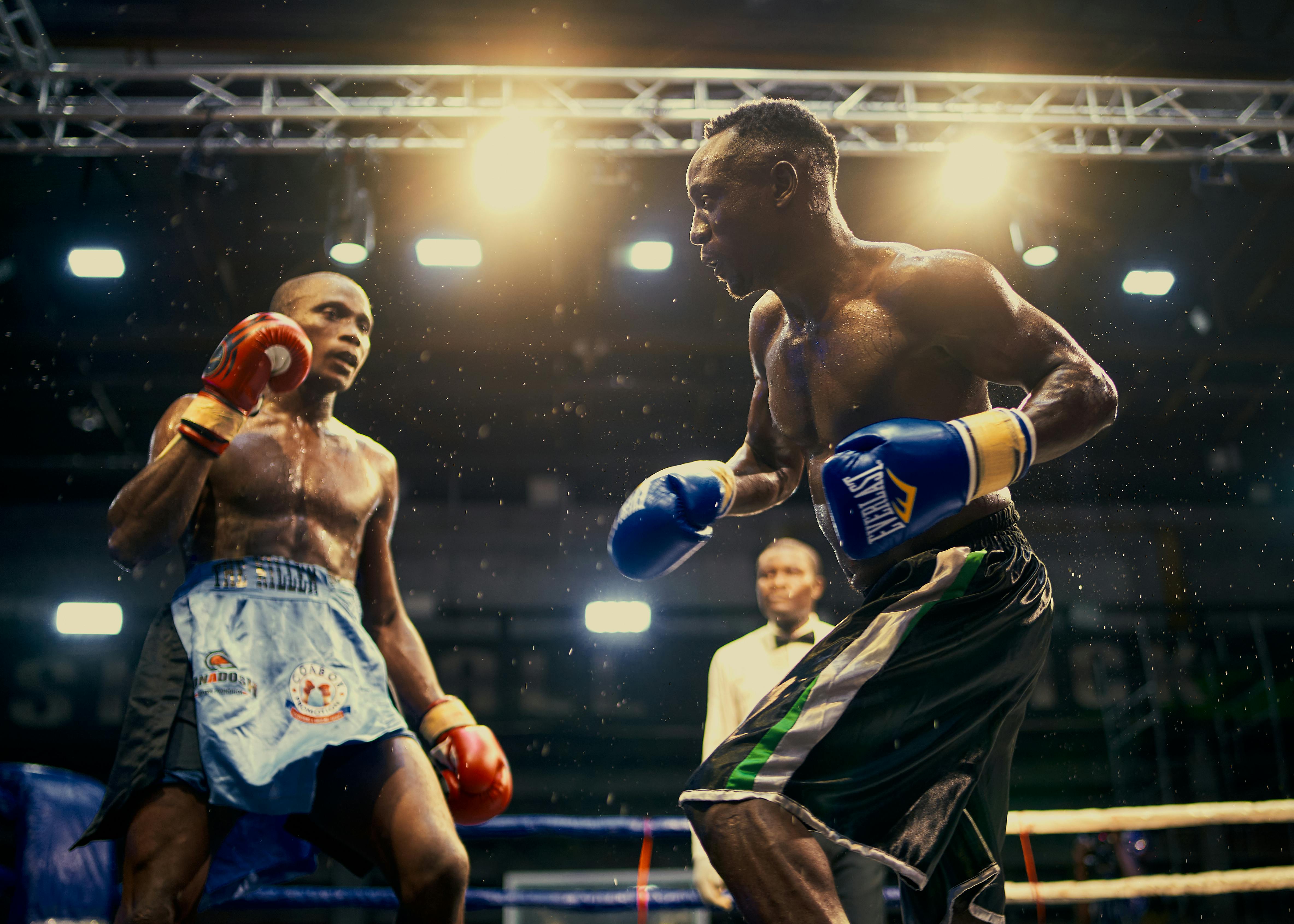 Boxers performing